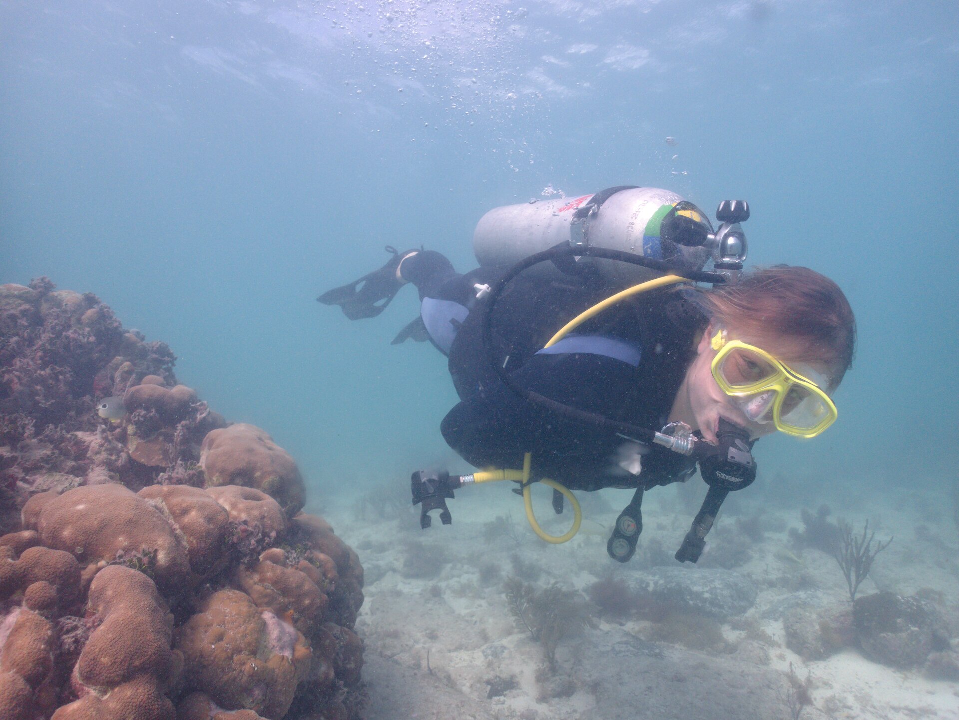 Image from Shore Dive at Ojo de Agua, Puerto Morelos